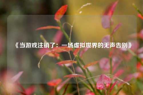 《当游戏注销了：一场虚拟世界的无声告别》