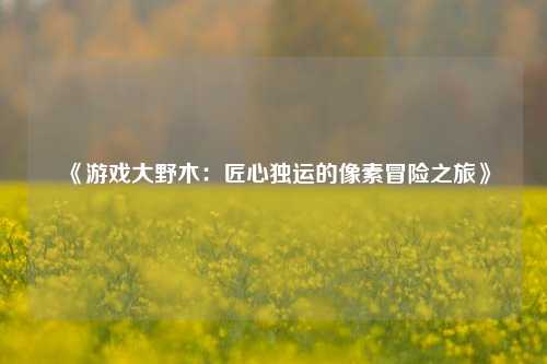 《游戏大野木：匠心独运的像素冒险之旅》