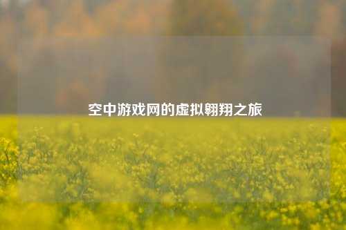  空中游戏网的虚拟翱翔之旅