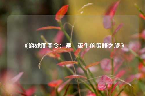 《游戏凤凰令：涅槃重生的策略之旅》