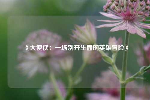  《大便侠：一场别开生面的英雄冒险》