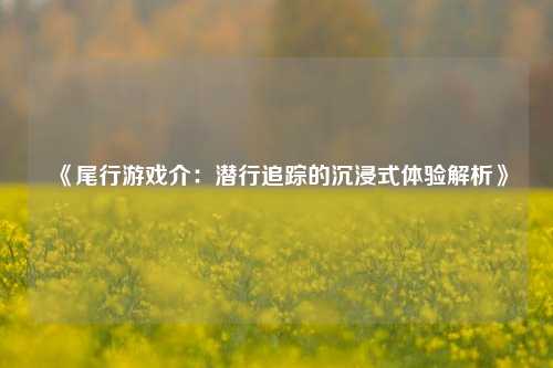 《尾行游戏介:潜行追踪的沉浸式体验解析》