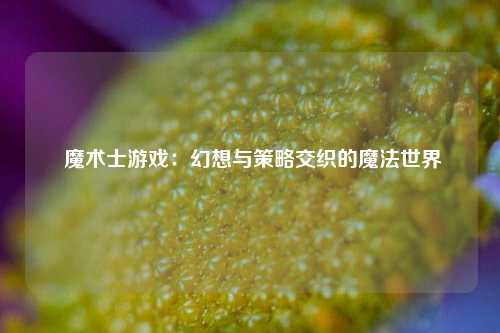  魔术士游戏：幻想与策略交织的魔法世界