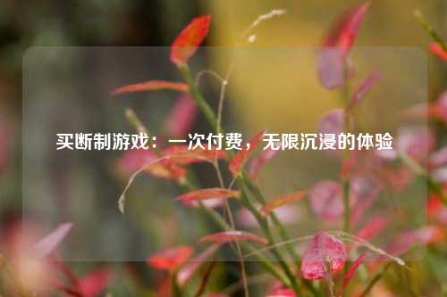 买断制游戏：一次付费，无限沉浸的体验