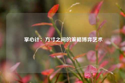  掌心计：方寸之间的策略博弈艺术