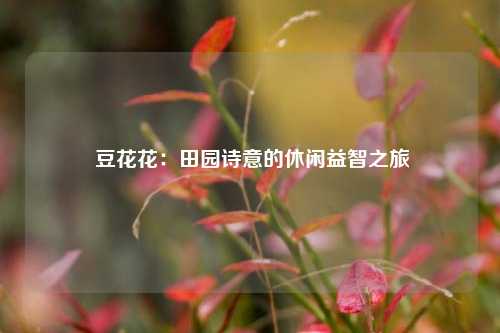  豆花花：田园诗意的休闲益智之旅