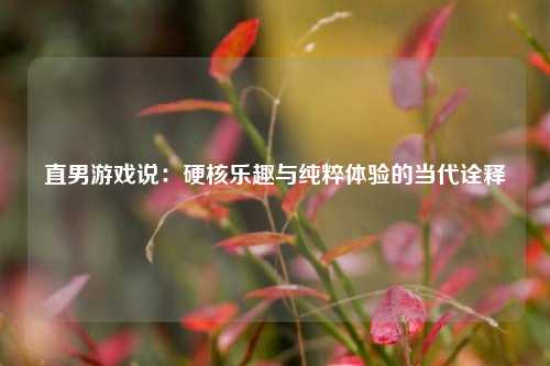 直男游戏说：硬核乐趣与纯粹体验的当代诠释