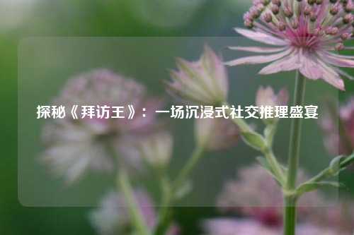 探秘《拜访王》：一场沉浸式社交推理盛宴