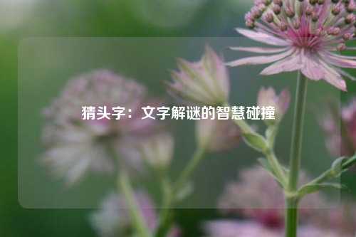 猜头字：文字解谜的智慧碰撞