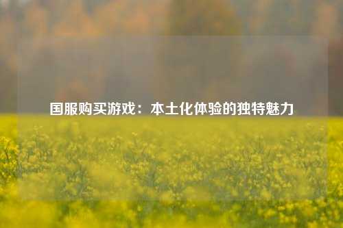 国服购买游戏：本土化体验的独特魅力