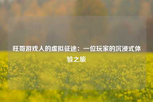旺哥游戏人的虚拟征途：一位玩家的沉浸式体验之旅