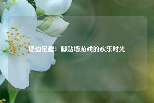 墙边足趣：脚贴墙游戏的欢乐时光