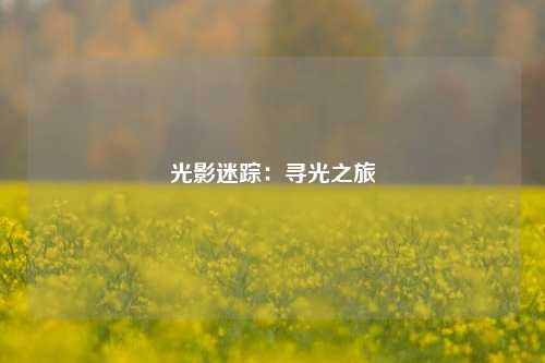 光影迷踪：寻光之旅