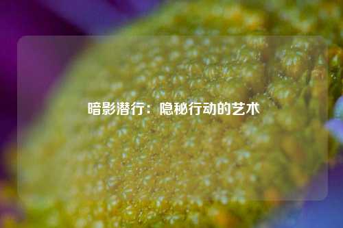  暗影潜行：隐秘行动的艺术