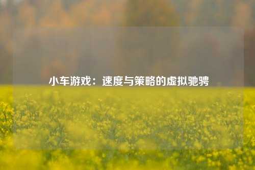  小车游戏：速度与策略的虚拟驰骋