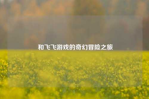  和飞飞游戏的奇幻冒险之旅