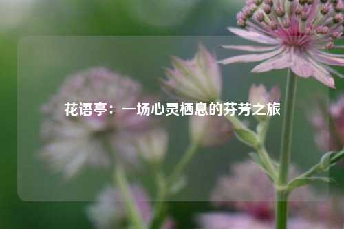 花语亭：一场心灵栖息的芬芳之旅