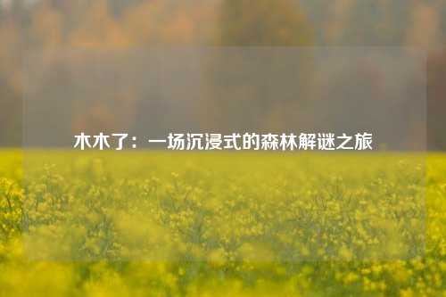木木了：一场沉浸式的森林解谜之旅