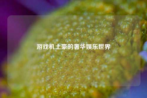 游戏机土豪的奢华娱乐世界