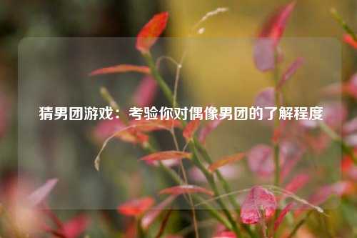  猜男团游戏：考验你对偶像男团的了解程度