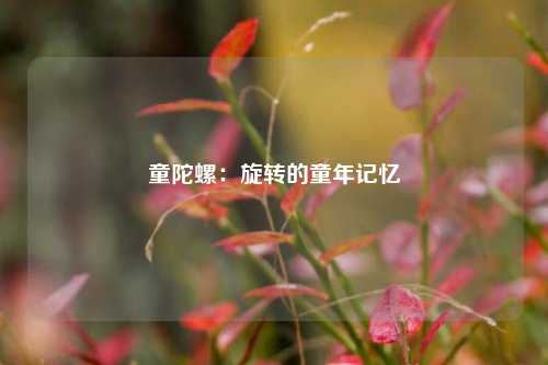 童陀螺：旋转的童年记忆