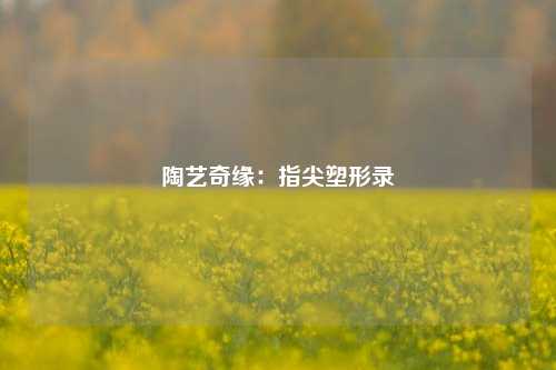 陶艺奇缘：指尖塑形录