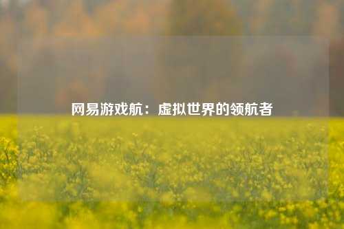 网易游戏航：虚拟世界的领航者