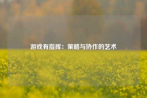 游戏有指挥：策略与协作的艺术