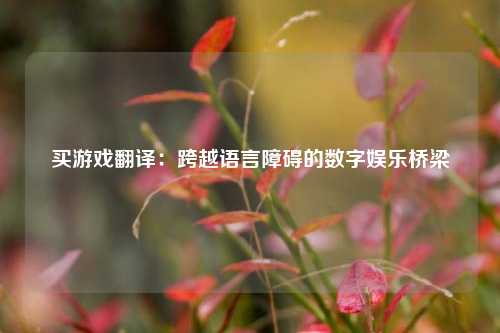 买游戏翻译：跨越语言障碍的数字娱乐桥梁