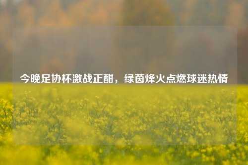 今晚足协杯激战正酣,绿茵烽火点燃球迷热情