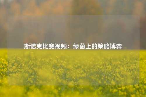 斯诺克比赛视频：绿茵上的策略博弈