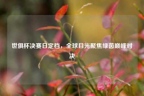 世俱杯决赛日定档，全球目光聚焦绿茵巅峰对决