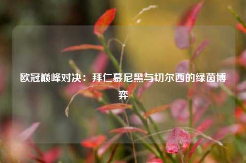 欧冠巅峰对决：拜仁慕尼黑与切尔西的绿茵博弈