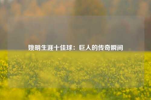 姚明生涯十佳球：巨人的传奇瞬间