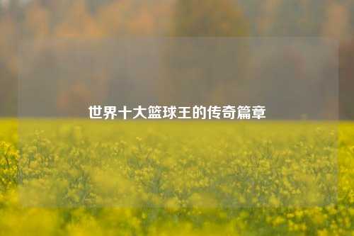 世界十大篮球王的传奇篇章