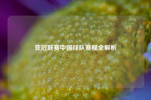 亚冠联赛中国球队赛程全解析