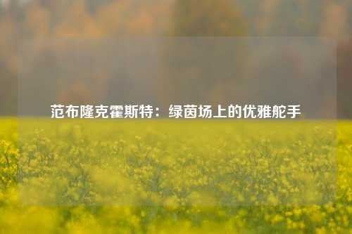 范布隆克霍斯特：绿茵场上的优雅舵手