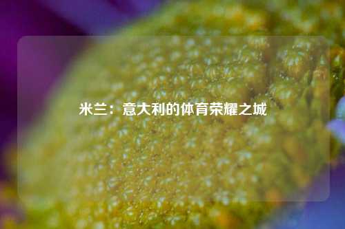 米兰：意大利的体育荣耀之城