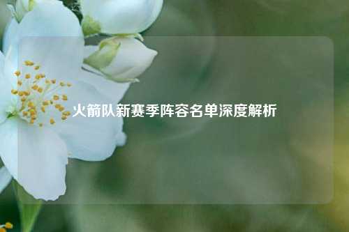 火箭队新赛季阵容名单深度解析