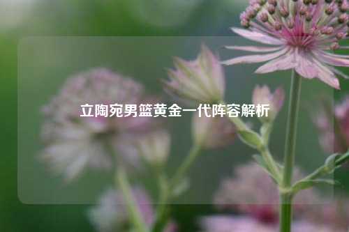 立陶宛男篮黄金一代阵容解析
