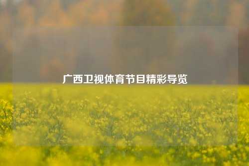 广西卫视体育节目精彩导览